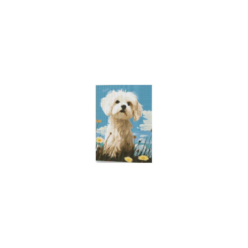 KIT DIAMOND PAINTING CON BASTIDOR DOG NOBLE 30X40